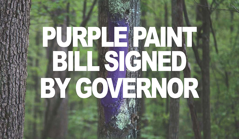 Forestry Association Purple Paint