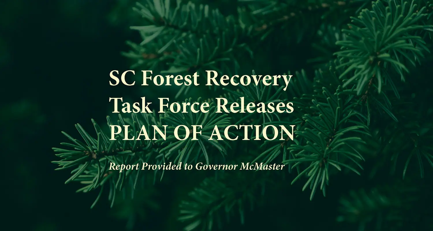 Forestry Recovery Task Force