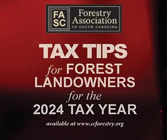 Forest Landowner Tax Tips